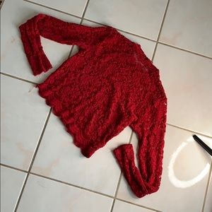 Sheer long sleeved crop top